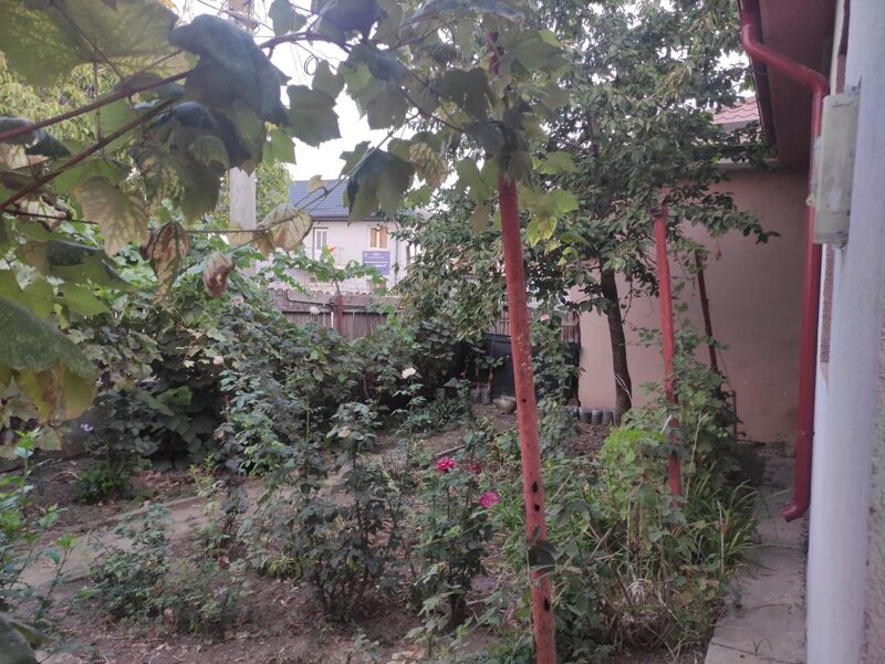 Casa individuala, curte, Caracal, Olt